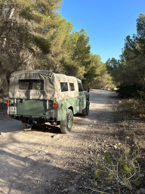 Palma De Mallorca: Tour Land Rover Calas SW Mallorca