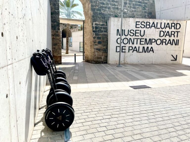 Palma: Private Guided Segway Tour