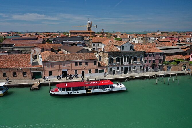 Panoramic Tour of Venice and Murano by Boat With Audio Guides