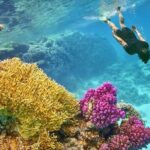 1 paradise island snorkeling trip with water sports hurghada Paradise Island Snorkeling Trip With Water Sports, Hurghada