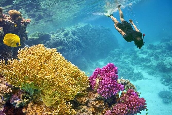 Paradise Island Snorkeling Trip With Water Sports, Hurghada