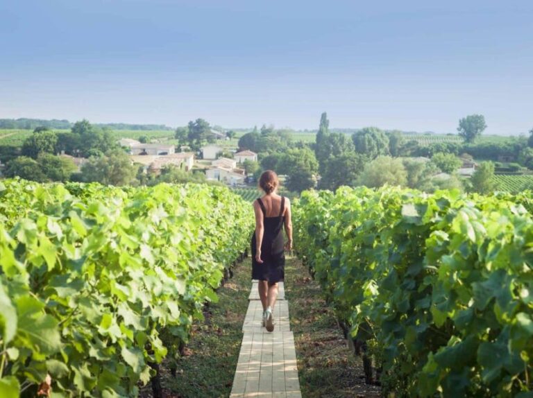 Paris: Discover the Cellars in the Countryside in Champagne