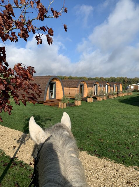 Paris : Horse Riding Camp With English Lessons in Senonches