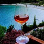 1 peljesac winery tour from dubrovnik PelješAc Winery Tour From Dubrovnik