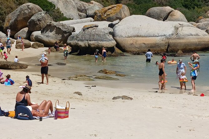 Penguin Watching & Beach Day at Boulders Beach, Cape Town