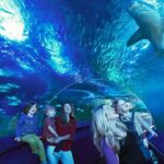 1 perth aqwa aquarium of western australia entry tickets Perth: AQWA Aquarium of Western Australia Entry Tickets