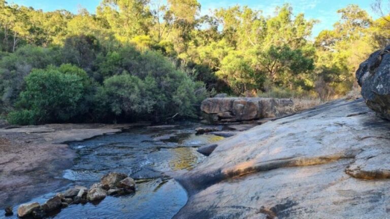 Perth: Hidden Gems Hiking Tour With Lunch and Cider