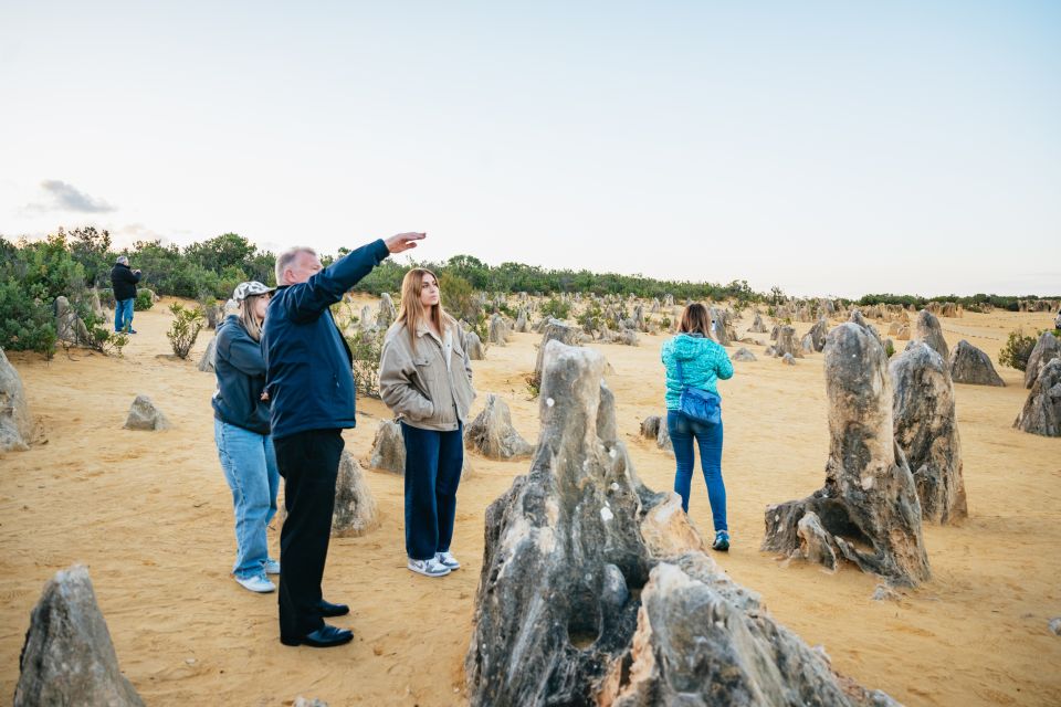 1 perth pinnacle desert sunset and stargazing with dinner Perth: Pinnacle Desert Sunset and Stargazing With Dinner