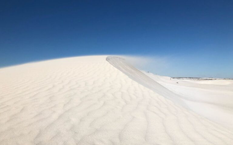 Perth: Pinnacles Desert Bush Walk Guided Tour With Lunch