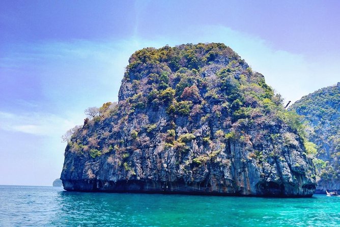 Phi Phi Half Day Tour by Speed Boat