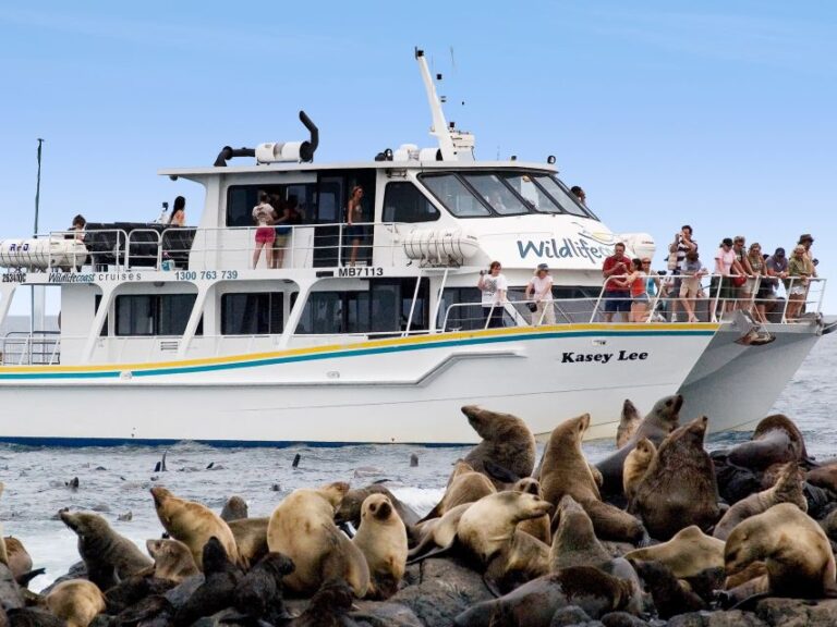 Philip Island: Seal Watching Cruise