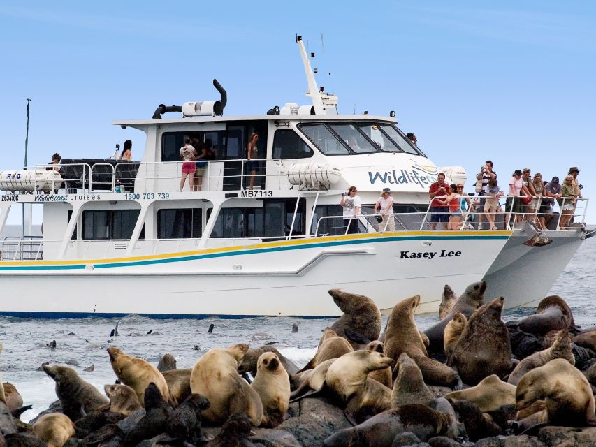 1 philip island seal watching cruise Philip Island: Seal Watching Cruise