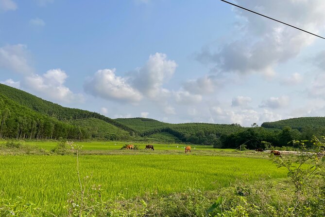 Phong Nha Countryside by Bicycle & Boat Day Trip
