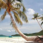 1 phu quoc discover south and north together private tour Phu Quoc Discover South and North Together_Private Tour