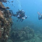 1 phu quoc scuba diving tour one day in ocean phu quoc Phu Quoc: Scuba Diving Tour, One Day in Ocean Phu Quoc