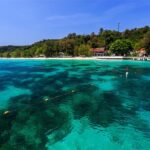 1 phuket maiton island phi phi island maya bay tour by speed boat Phuket-Maiton Island-Phi Phi Island-Maya Bay Tour by Speed Boat