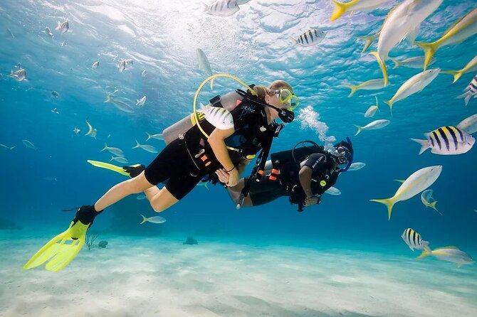 Phuket Scuba Diving and Snorkeling Offshore 2 Islands Full-Day by Speed Boat