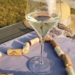 1 picnic wine tasting at a lugana winery brescia Picnic Wine Tasting at a Lugana Winery - Brescia