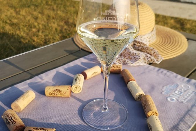 1 picnic wine tasting at a lugana winery brescia Picnic Wine Tasting at a Lugana Winery - Brescia