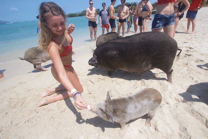 Pig Island Private Beach Full Day From Koh Samui – Thai Version of the Bahamas