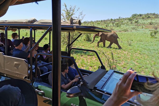 Pilanesberg National Park Safari From Johannesburg