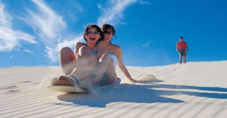 Pinnacles, Koalas & Sandboarding Tour Day Trip From Perth