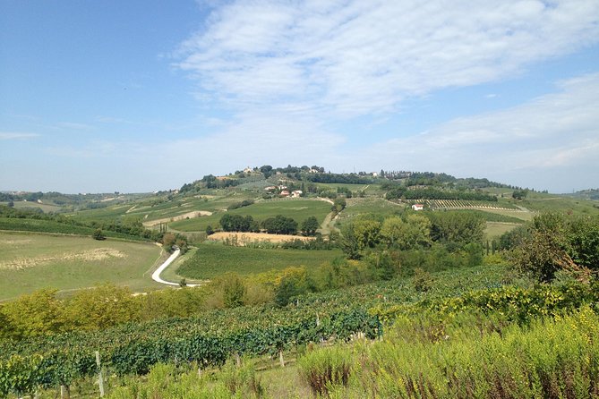 Pisa, Volterra and San Gimignano Private Tour From Florence