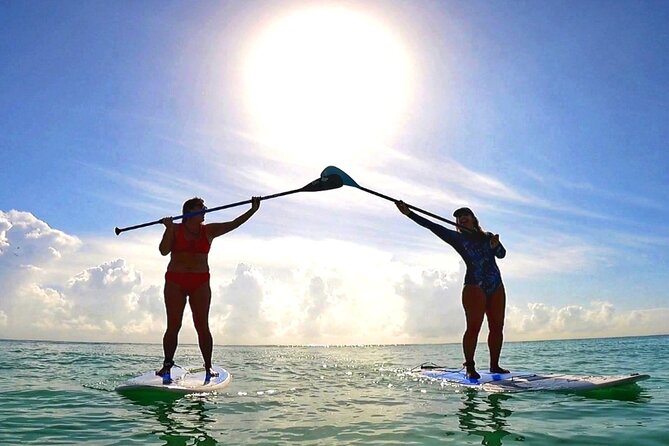 Playa Del Carmen Morning Standup Paddleboarding Session - Meeting and Pickup Details