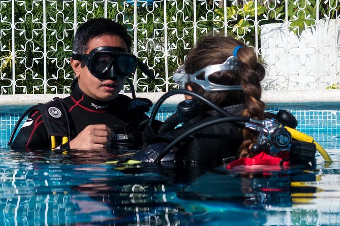 Playa Del Carmen: PADI Discover Scuba Diving With Instructor