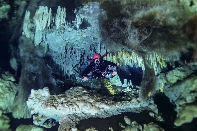 Playa Del Carmen Private Cenote Two Dives for Certified Divers