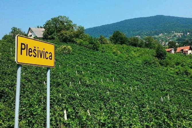 Plesivica Region Wine Tasting Half-day Tour
