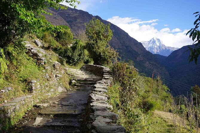 Pokhara: 4 Day Poon Hill Trek