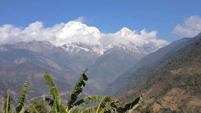 Pokhara: Poon Hill Ghorepani Short Trek