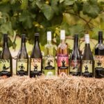 1 pokolbin hunter valley half day tour with cheese and wine Pokolbin: Hunter Valley Half-Day Tour With Cheese and Wine