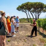 1 pompeii herculaneum and wine tasting private tour Pompeii, Herculaneum and Wine Tasting - Private Tour