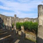 1 pompeii private 5 hours tour from sorrento Pompeii Private 5 Hours Tour From Sorrento