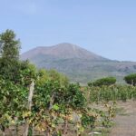 1 pompeii ruins and wine tour from sorrento Pompeii Ruins and Wine Tour From Sorrento