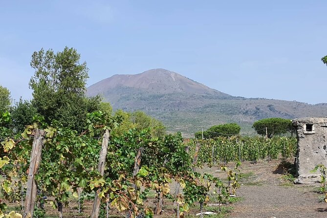 Pompeii Ruins and Wine Tour From Sorrento
