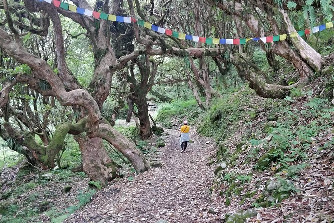 Poon Hill Ghorepani Trek