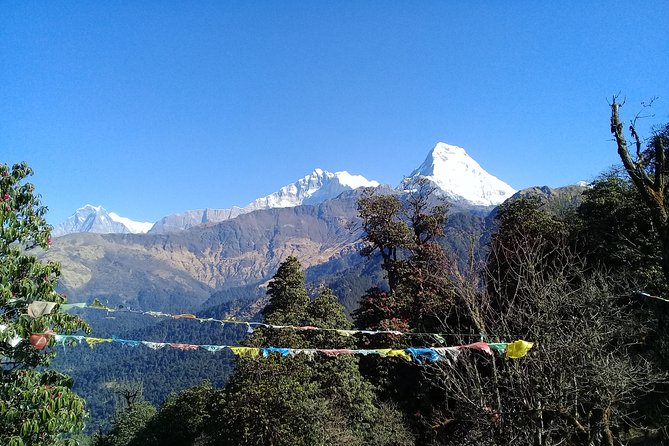 Poon Hill Trek – 5 Day / 4 Night (ex Kathmandu) – Daily Departure