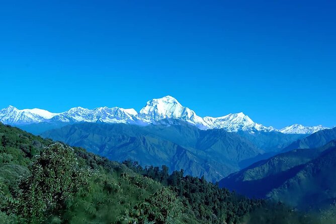 Poon Hill Trek – Short & Easy Trek in the Himalayas