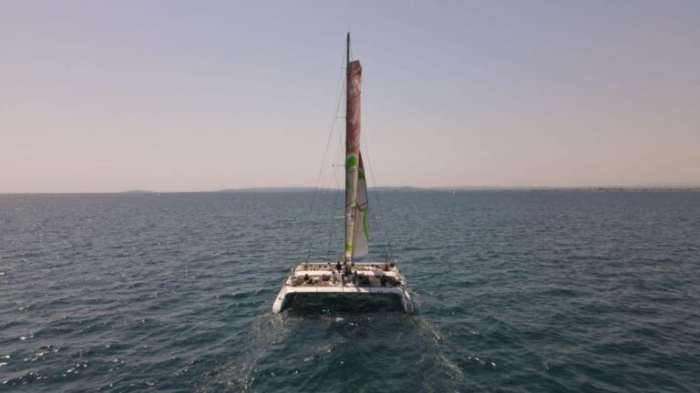 Port Camargue: Half-Day Sailing Tour on a Racing Catamaran