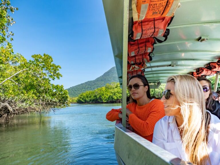 Port Douglas: Daintree National Park Ziplining & Cruise