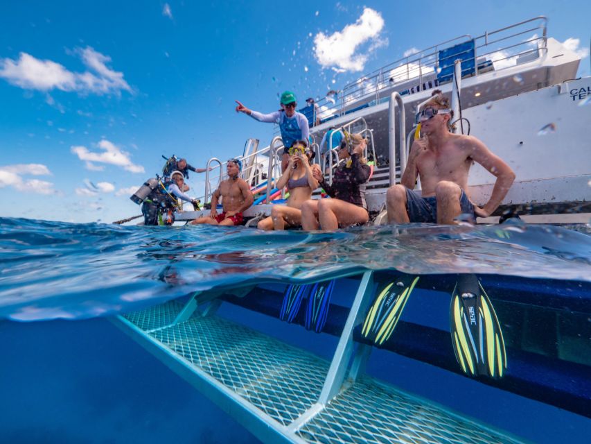 1 port douglas outer barrier reef snorkel cruise transfer Port Douglas: Outer Barrier Reef Snorkel Cruise & Transfer