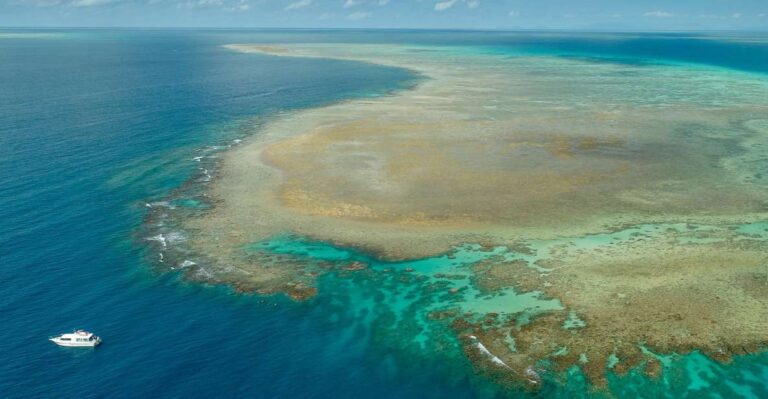 Port Douglas: Outer Reef Full-Day Snorkeling Tour