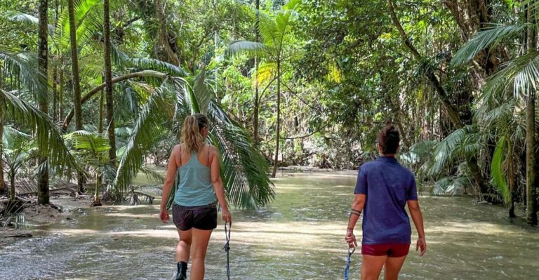 Port Douglas: River Drift Experience in the Daintree