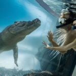 1 port douglas wildlife habitat swim with crocodiles Port Douglas: Wildlife Habitat Swim With Crocodiles