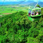1 port douglas world heritage forest by skyrail scenic rail Port Douglas: World Heritage Forest by Skyrail & Scenic Rail