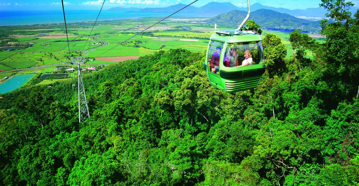 1 port douglas world heritage forest by skyrail scenic rail Port Douglas: World Heritage Forest by Skyrail & Scenic Rail