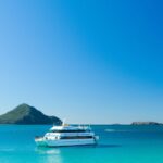 1 port stephens dolphin watching cruise Port Stephens: Dolphin Watching Cruise